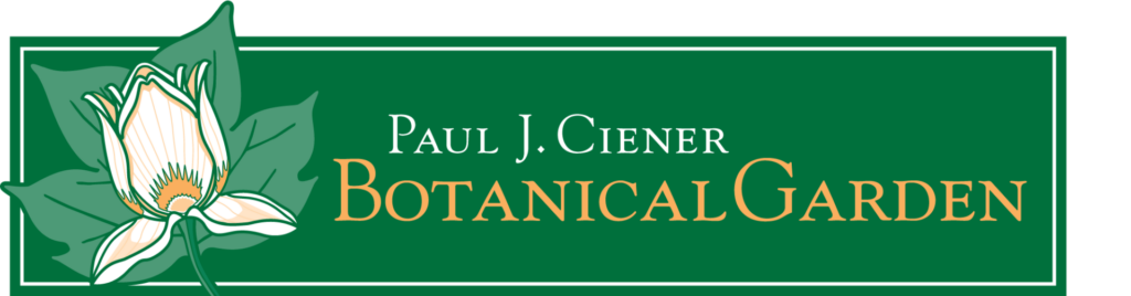 company image